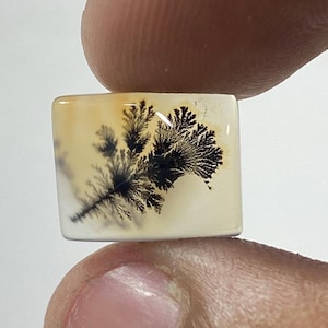 Riesige Größe !!! Dendritenachat Cabochon, lose Edelstein, dendritischen Achat für die Herstellung von Schmuck Pendent Größe 10X12 MM