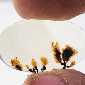 Wunderschöner Designer Dendriten Achat !!! NATÜRLICHER Dendritenachat Cabochon, loser Edelstein, 15X23 mm Dendritenachat für die Herstellung von Schmuck Pendent.