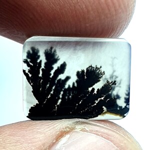 Designer Achat !!! Dendritenachat Rechteck Cabochon, Lose Edelstein, Dendriten Achat für die Herstellung von Schmuck Pendent