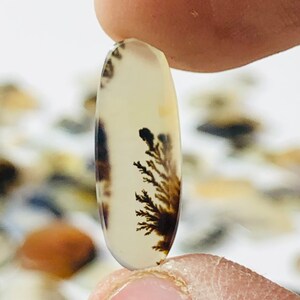 Wunderschöner Designer Dendriten Achat !!! NATÜRLICHER Dendritischer Achat Cabochon, loser Edelstein, 7X18 MM Dendritischer Achat für die Herstellung von Schmuck Pendent.