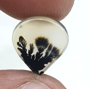Wunderschöner Designer Dendriten Achat !!! NATÜRLICHER Dendritischer Achat Cabochon, loser Edelstein, Dendritischer Achat für die Herstellung von Schmuck Pendent.