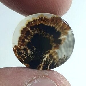 Wunderschöner Designer Dendriten Achat !!! NATÜRLICHER Dendritenachat Cabochon, loser Edelstein, 16 x 17 mm Dendritenachat zur Herstellung von Schmuckanhängern.