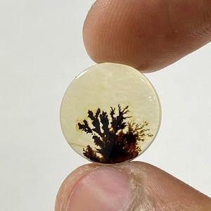 Riesige Größe !!! Dendritenachat Cabochon, lose Edelstein, dendritischen Achat für die Herstellung von Schmuck Pendent Größe 14x14 MM