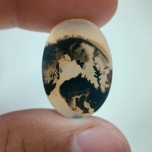 NATÜRLICHER Dendritenachat Cabochon, loser Edelstein, Dendritenachat für die Herstellung von Schmuck Pendent Größe 23 x 17 MM