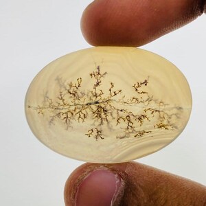 Riesige Größe !!! Dendritenachat Cabochon, Lose Edelstein, Dendritenachat für die Herstellung von Schmuck Pendent Größe 34 x 24 MM