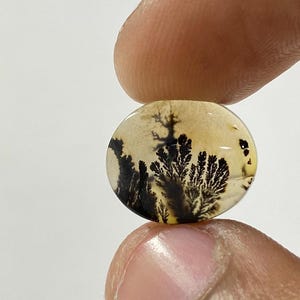 Riesige Größe !!! Dendritenachat Cabochon, lose Edelstein, dendritischen Achat für die Herstellung von Schmuck Pendent Größe 14x12 MM