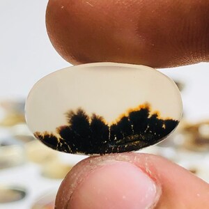 Natürlicher Achat !!! Dendritenachat Birne Cabochon, Lose Edelstein, Dendritenachat 11x19 Größe für die Herstellung von Schmuck Pendent