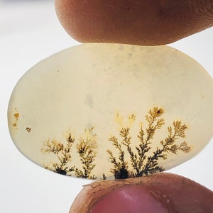 Wunderschöner Designer Dendriten Achat !!! NATÜRLICHER Dendritenachat Cabochon, loser Edelstein, 15X23 mm Dendritenachat für die Herstellung von Schmuck Pendent.