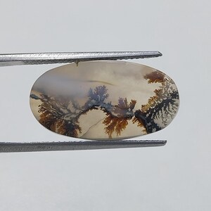 Designerstein !!! Dendritische Achat Phantasie Cabochon, lose Edelstein, dendritische Achat für die Herstellung von Schmuck Pendent Größe 22 x 12 MM