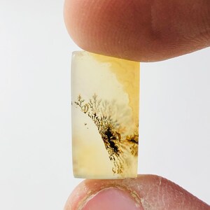 Wunderschöner Designer Dendriten Achat !!! NATÜRLICHER Dendritenachat Cabochon, loser Edelstein, 8x16 mm Dendritenachat für die Herstellung von Schmuck Pendent.