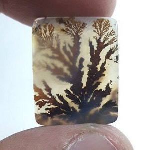 Wunderschöner Designer Dendriten Achat !!! NATÜRLICHER Dendritischer Achat Cabochon, loser Edelstein, 21 x 17 mm Dendritischer Achat zur Herstellung von Schmuckanhängern.