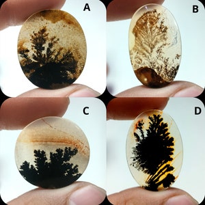 Natürlicher Dendritenachat, Dendritischer Cabochon, Achat-Lose Edelstein, Malerischer Dendritischer Achat, Heilende Eigenschaften, Farbe, Kraftstein