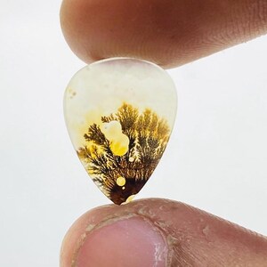 Riesige Größe !!! Dendritenachat Birne Cabochon, Lose Edelstein, Dendritenachat für die Herstellung von Schmuck Pendent Größe 16 x 12 MM