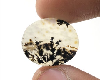 100% Natural Scenic Agate !!! Tree agate , Dendritic quartz, Dendritic agate Scenic Agate Gemstone, Dendritic Agate Stone RING size 19x15 MM