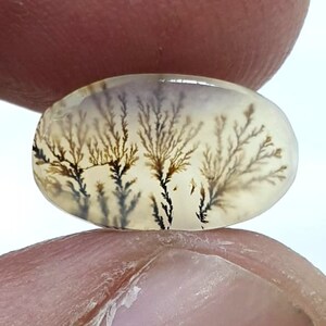 Wunderschöner Designer Dendriten Achat !!! NATÜRLICHER Dendritenachat Cabochon, loser Edelstein, 7 x 13 mm Dendritenachat für die Herstellung von Schmuck Pendent.