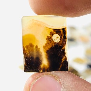 Wunderschöner Designer Dendriten Achat !!! NATÜRLICHER Dendritenachat Cabochon, loser Edelstein, 14X16 MM Dendritenachat für die Herstellung von Schmuck Pendent.