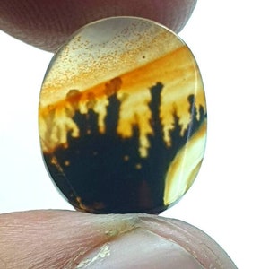 Wunderschöner Achat !!! Dendritenachat Oval Cabochon, lose Edelstein, Dendritenachat für die Herstellung von Schmuck Pendent Größe 16X13 mm