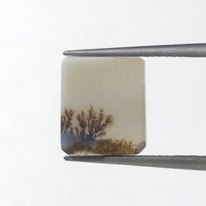 Natürlicher Achat !!! Dendritenachat Cabochon, lose Edelstein, dendritischen Achat für die Herstellung von Schmuck Pendent