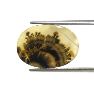 100% Natürlich Landschaftlich Achat !!! Baumachat, Dendritenquarz, Dendritenachat, Malerischer Achat-Edelstein, Dendritenachatstein, Größe 19 x 14 MM