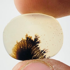 Wunderschöner Designer Dendriten Achat !!! NATÜRLICHER Dendritenachat Cabochon, loser Edelstein, 16x13 MM Dendritenachat für die Herstellung von Schmuck Pendent.
