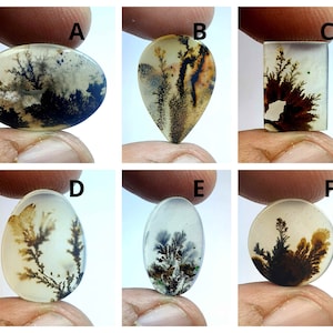 Natürlicher Dendritenachat, Dendritischer Cabochon, Achat-Lose Edelstein, Malerischer Dendritischer Achat, Heilende Eigenschaften, Farbe, Kraftstein