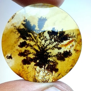 Riesige Größe 24 x 24 MM !!! Dendritenachat runder Cabochon, loser Edelstein, dendritischer Achat für die Herstellung von Schmuckanhänger