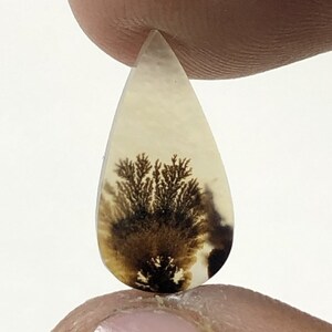 Erstaunlicher Design Achat !!! NATÜRLICHER Dendritischer Achat Oval Cabochon, loser Edelstein, Dendritischer Achat für die Herstellung von Schmuck Pendent.