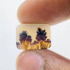 Riesige Größe !!! Dendritenachat Rechteck Cabochon, Lose Edelstein, Dendriten Achat für die Herstellung von Schmuck Pendent Größe 10 x 14 MM