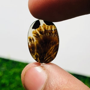 Wunderschöner Designer Dendriten Achat !!! NATÜRLICHER Dendritenachat Cabochon, loser Edelstein, 12x16 MM Dendritenachat für die Herstellung von Schmuck Pendent.