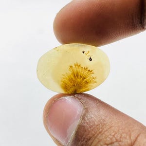 Riesige Größe !!! Dendritenachat Birne Cabochon, Lose Edelstein, Dendritenachat für die Herstellung von Schmuck Pendent Größe 20 x 14 MM