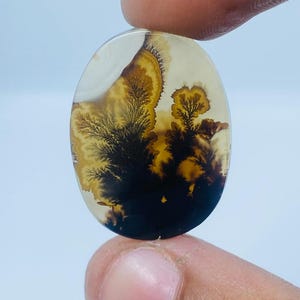 Riesige Größe !!! Dendritenachat Cabochon, Lose Edelstein, Dendritenachat für die Herstellung von Schmuck Pendent Größe 19 x 26 MM