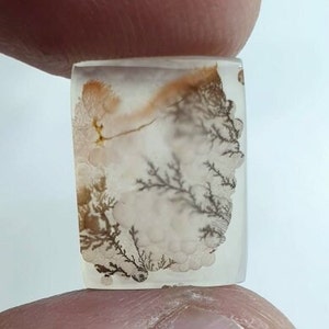 Wunderschöner Designer Dendriten Achat !!! NATÜRLICHER Dendritenachat Cabochon, loser Edelstein, 11 x 15 mm Dendritenachat für die Herstellung von Schmuck Pendent.