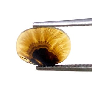 Erstaunlicher Design Achat !!! NATÜRLICHER Dendritischer Achat Oval Cabochon, loser Edelstein, Dendritischer Achat für die Herstellung von Schmuck Pendent.