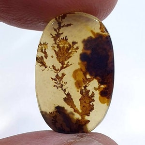 Riesige Größe !!! Dendritenachat Birne Cabochon, Lose Edelstein, Dendritenachat für die Herstellung von Schmuck Pendent Größe 21X14 MM