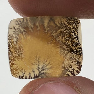 Erstaunlicher Design Achat !!! NATÜRLICHER Dendritischer Achat Oval Cabochon, loser Edelstein, Dendritischer Achat für die Herstellung von Schmuck Pendent.
