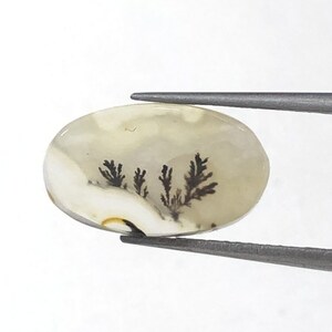 Natürlicher Achat !!! Dendritenachat Cabochon, lose Edelstein, dendritischen Achat für die Herstellung von Schmuck Pendent