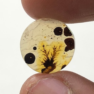 Erstaunlicher Design Achat !!! NATÜRLICHER Dendritischer Achat Oval Cabochon, loser Edelstein, Dendritischer Achat für die Herstellung von Schmuck Pendent.