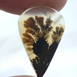 Wunderschöner Designer Dendriten Achat !!! NATÜRLICHER Dendritenachat Cabochon, loser Edelstein, 15 x 11 mm Dendritenachat für die Herstellung von Schmuck Pendent.