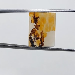 Piedra de diseño. Cabujón de ágata dendrítica de fantasía, piedra preciosa suelta, ágata dendrítica para hacer colgantes de joyería. Tamaño: 15 x 12 mm.