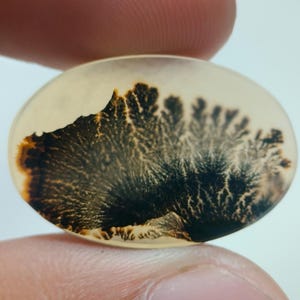 Piedra de diseño. Cabujón de ágata dendrítica de fantasía, piedra preciosa suelta, ágata dendrítica para hacer colgantes de joyería. Tamaño: 26 x 17 mm.