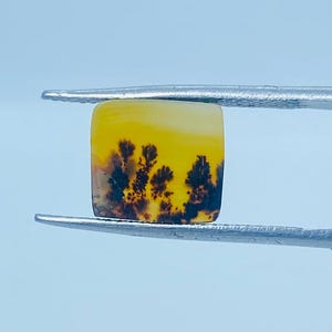 Erstaunlicher Design Achat !!! NATÜRLICHER Dendritischer Achat Rechteck Cabochon, Loser Edelstein, Dendritischer Achat für die Herstellung von Schmuck Pendent.