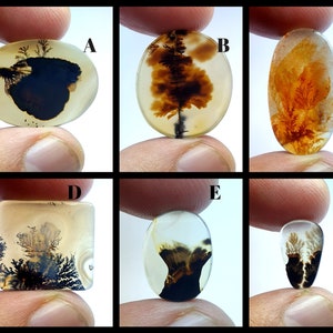 NATÜRLICHER Dendritenachat Cabochon, loser Edelstein, Dendritenachat für die Herstellung von Schmuck Pendent Größe.