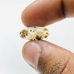 Riesige Größe !!! Dendritenachat Birne Cabochon, Lose Edelstein, Dendritenachat für die Herstellung von Schmuck Pendent Größe 17 x 8 MM