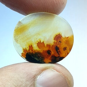 Wunderschöner Achat!!! Dendritenachat Oval Cabochon, lose Edelstein, dendritischen Achat für die Herstellung von Schmuck Pendent