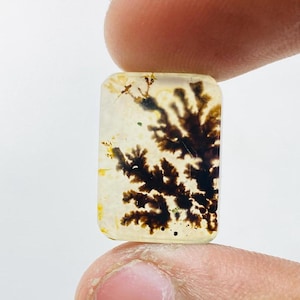 Riesige Größe !!! Dendritenachat Birne Cabochon, Lose Edelstein, Dendritenachat für die Herstellung von Schmuck Pendent Größe 23 x 13 MM