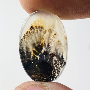 Wunderschöner Designer Dendriten Achat !!! NATÜRLICHER Dendritenachat Cabochon, loser Edelstein, 19x13 mm Dendritenachat für die Herstellung von Schmuck Pendent.