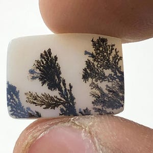100% Natürlich Landschaftlich Achat !!! Baumachat, Dendritenquarz, Dendritenachat Malerischer Achat-Edelstein, Dendritenachat-Stein RING-Größe 15 x 12 MM