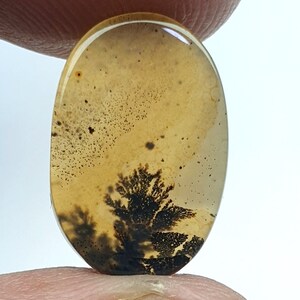 Natürlicher Achat !!! Dendritenachat Oval Cabochon, lose Edelstein, dendritischen Achat für die Herstellung von Schmuck Pendent