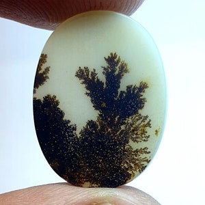 Wunderschöner Achat!!! Dendritenachat runder Cabochon, loser Edelstein, dendritischer Achat für die Herstellung von Schmuckanhänger