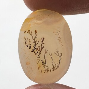 Erstaunlicher Design Achat !!! NATÜRLICHER Dendritischer Achat Oval Cabochon, loser Edelstein, Dendritischer Achat für die Herstellung von Schmuck Pendent.